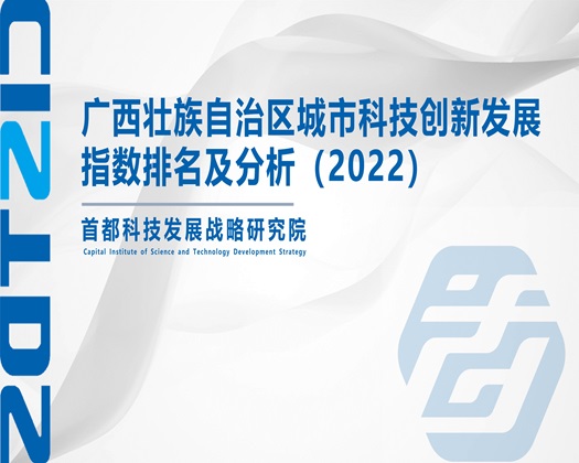 是逼逼爽,射精网站【成果发布】广西壮族自治区城市科技创新发展指数排名及分析（2022）